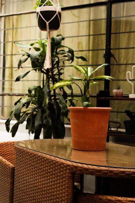 New Mex Inspired Bo-Ho Chic Apartment With Private Patio And Roof Terrace Kota Meksiko Bagian luar foto